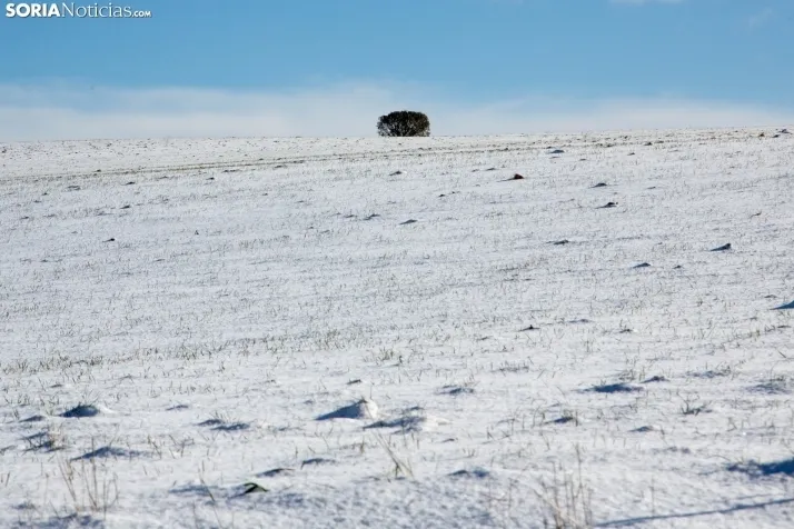 Nevada en Tierras Altas enero 2023