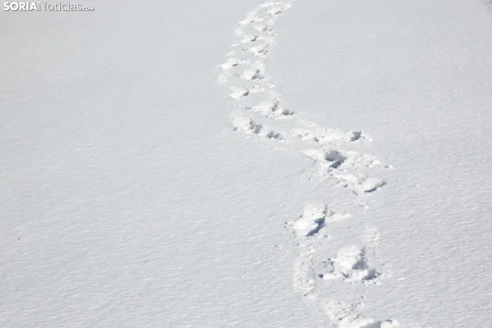 Nevada en Tierras Altas enero 2023