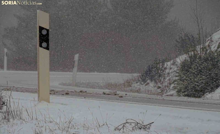 Precaución al volante en Pinares