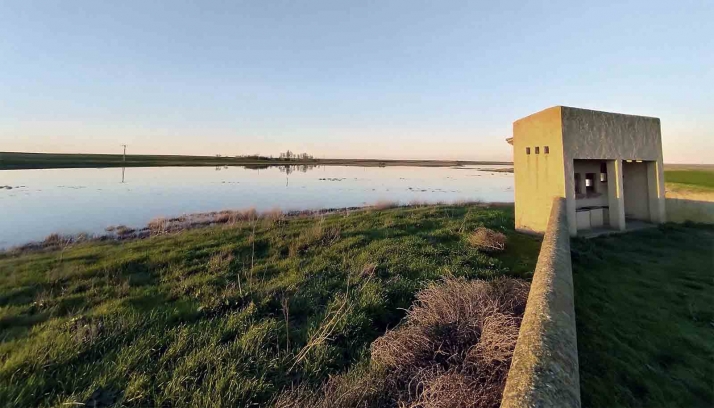 Las lluvias de las últimas semanas permiten disfrutar de las lagunas de Villafáfila en su máximo esplendor
