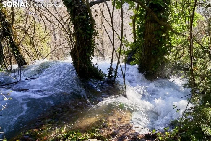 Un paseo por la espectacular cascada de la Toba 