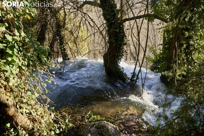 Un paseo por la espectacular cascada de la Toba 