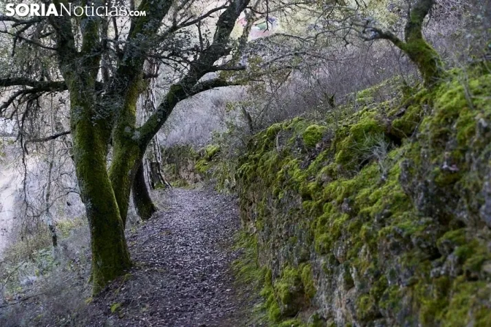 Un paseo por la espectacular cascada de la Toba 