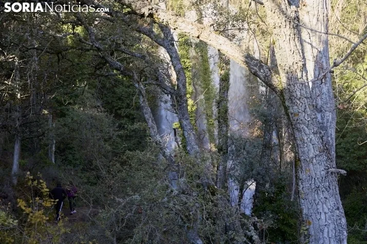 Un paseo por la espectacular cascada de la Toba 