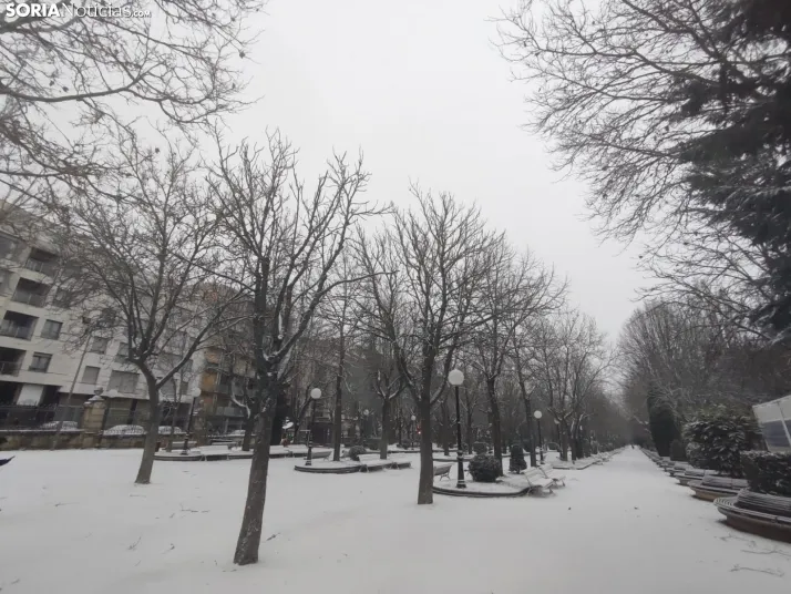 La galer&iacute;a m&aacute;s blanca: Soria amanece jugando con la nieve