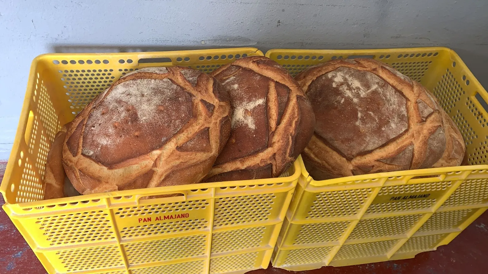 Foto 2 - El Jueves Lardero m&aacute;s soriano se traslada a Valencia: 450 torreznos u 80 kg de chorizo de Soria