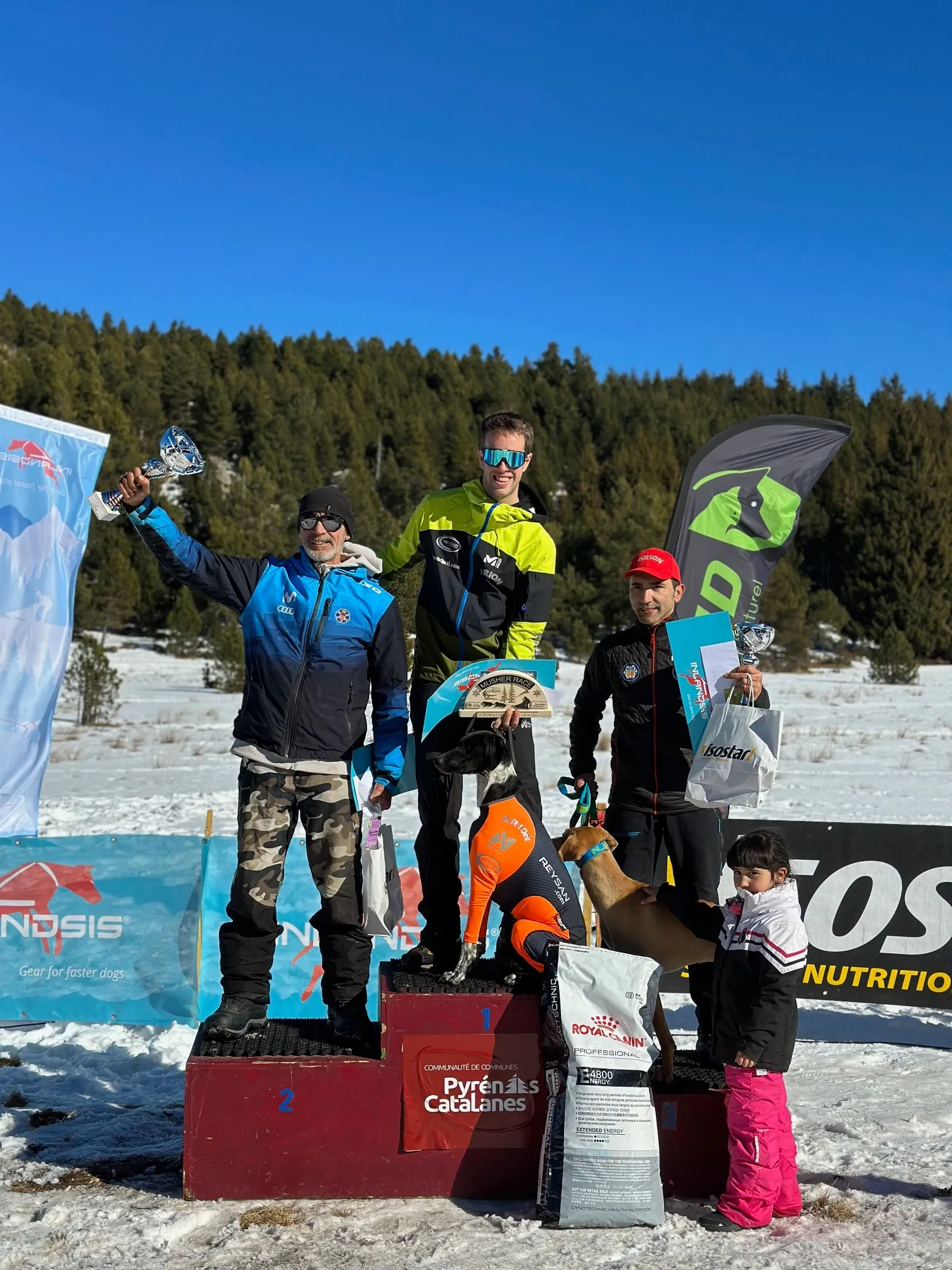 Foto 2 - &Oacute;lvega y mushing, una armon&iacute;a perfecta