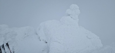 Foto 5 - Agustín Sandoval nos enseña cómo de increíble está la nieve en los Picos de Urbión 