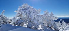 Foto 4 - Agustín Sandoval nos enseña cómo de increíble está la nieve en los Picos de Urbión 