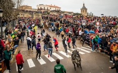 Una imagen del festejo hoy. /Vicente - Ical