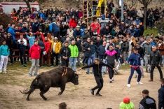 Una imagen del festejo hoy. /Vicente - Ical