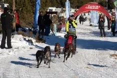 Foto 3 - &Oacute;lvega y mushing, una armon&iacute;a perfecta