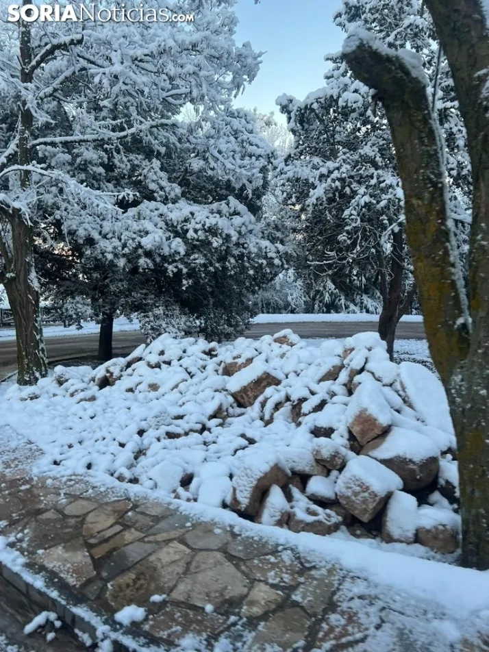 Una imagen de las faldas del parque del Castillo esta mañana de viernes. / Sergio Lafuente 