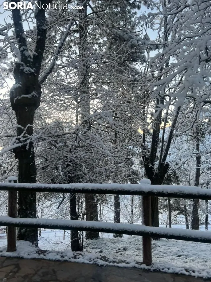 Una imagen de las faldas del parque del Castillo esta mañana de viernes. / Sergio Lafuente 