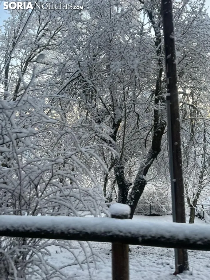 Una imagen de las faldas del parque del Castillo esta mañana de viernes. / Sergio Lafuente 
