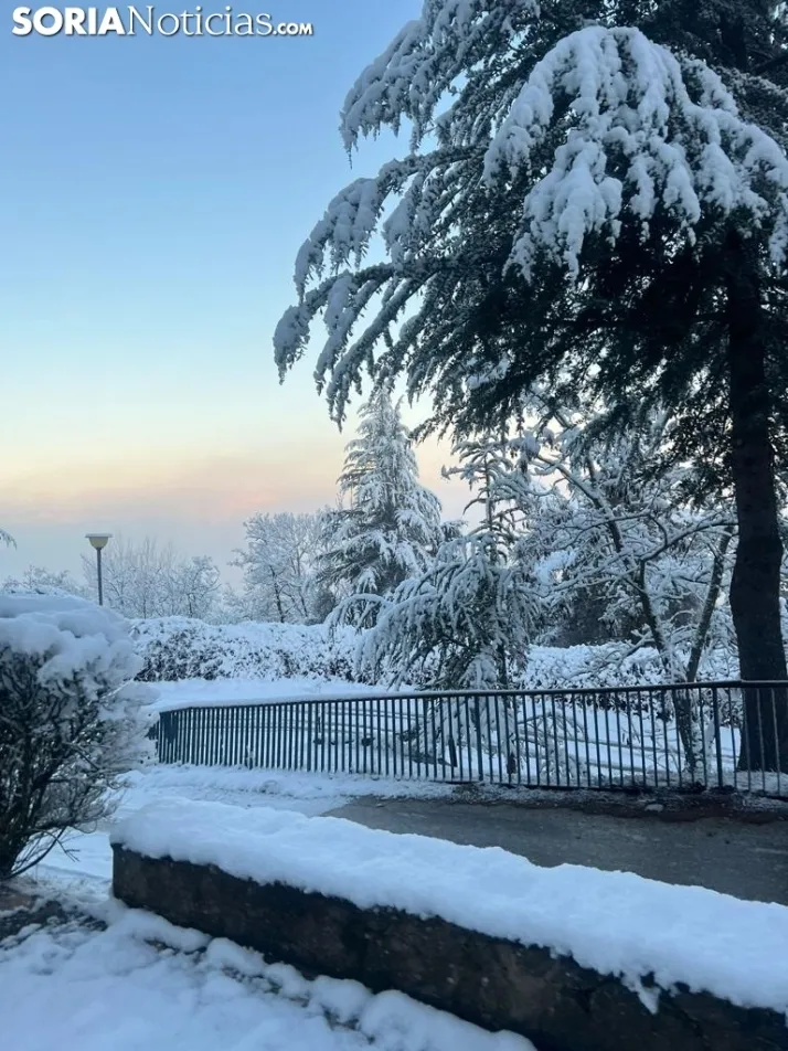 Una imagen de las faldas del parque del Castillo esta mañana de viernes. / Sergio Lafuente 