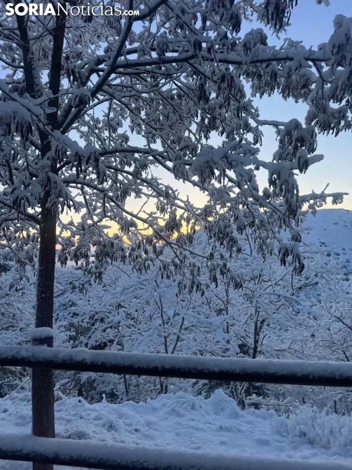 Una imagen de las faldas del parque del Castillo esta mañana de viernes. / Sergio Lafuente 