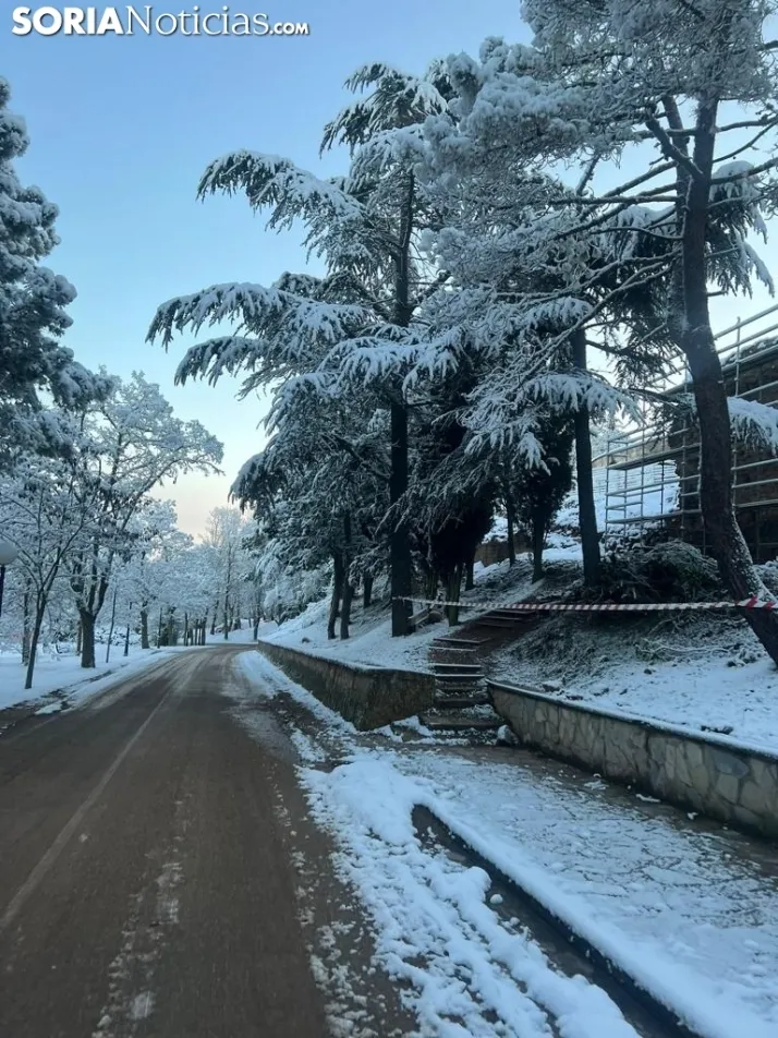 Una imagen de las faldas del parque del Castillo esta mañana de viernes. / Sergio Lafuente 