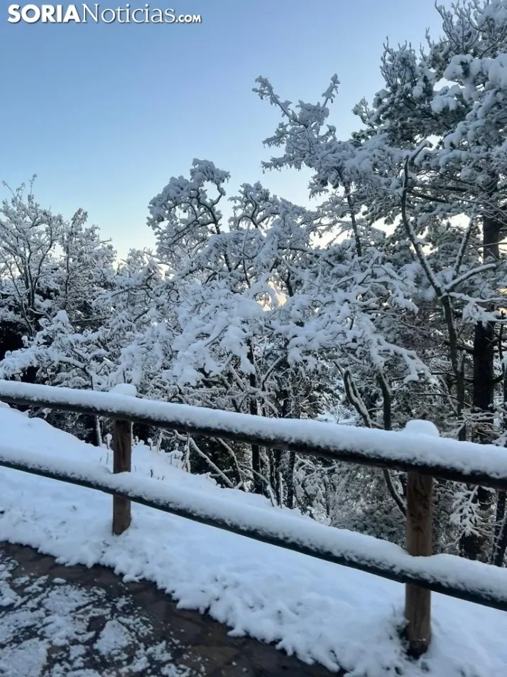 Una imagen de las faldas del parque del Castillo esta mañana de viernes. / Sergio Lafuente 