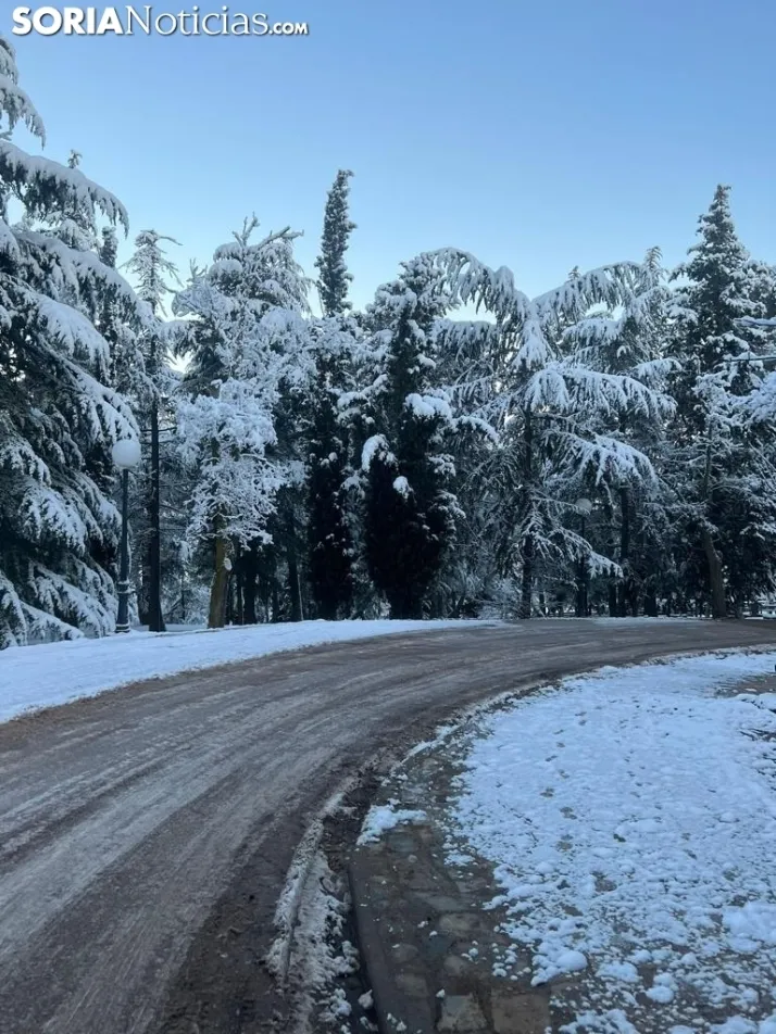 Una imagen de las faldas del parque del Castillo esta mañana de viernes. / Sergio Lafuente 
