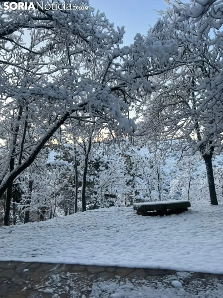 Una imagen de las faldas del parque del Castillo esta mañana de viernes. / Sergio Lafuente 
