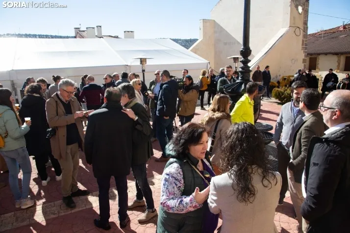 XX Feria de la Trufa de Abejar