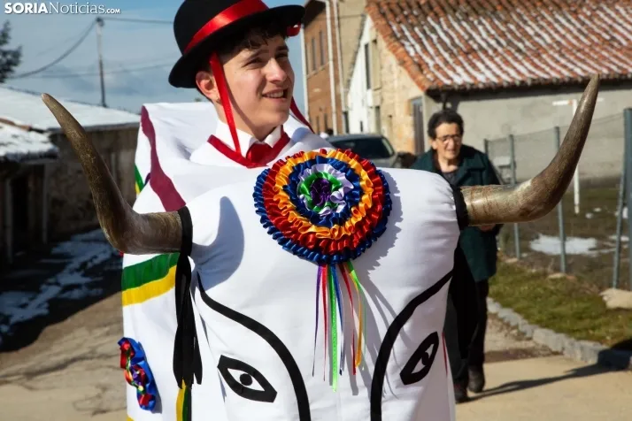 Carnaval Abejar
