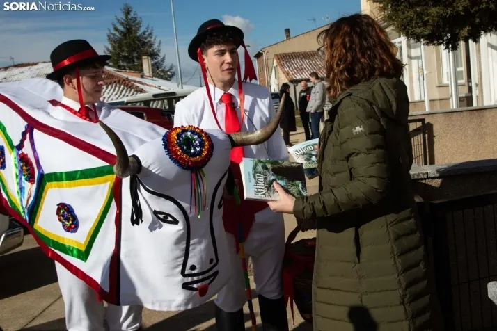 Carnaval Abejar