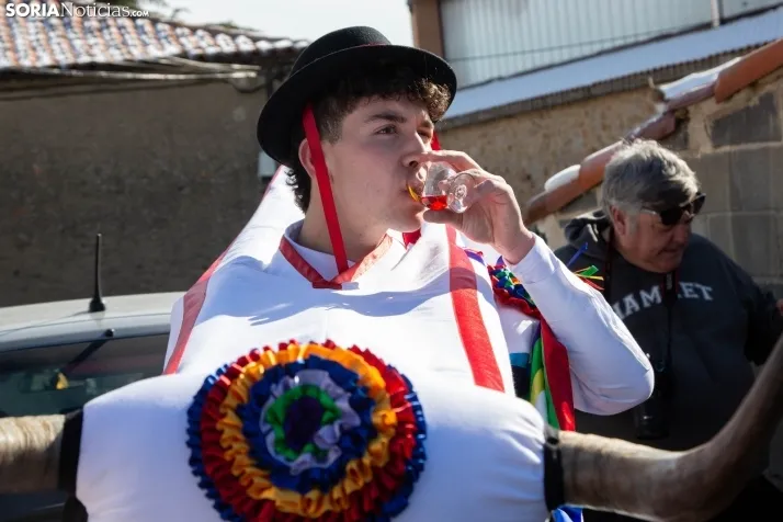 Carnaval Abejar