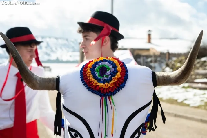 Carnaval Abejar