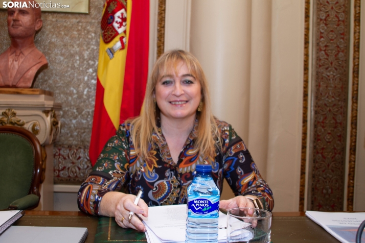 Pleno Diputación 2023.