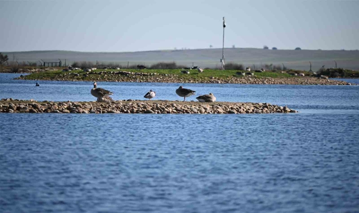 Castilla y León cuenta con 297 humedales en una superficie de 11.763 hectáreas