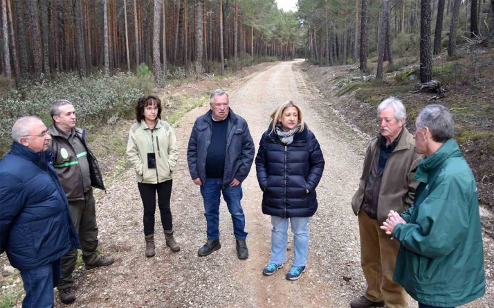 La Junta invirtió en 2022 casi 10,5 M&euro; en actuaciones silvícolas preventivas de incendios en montes de Utilidad Pública de Soria
