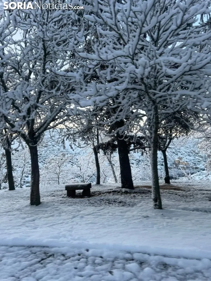 Una imagen de las faldas del parque del Castillo esta mañana de viernes. / Sergio Lafuente 
