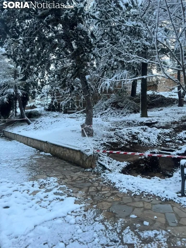 Una imagen de las faldas del parque del Castillo esta mañana de viernes. / Sergio Lafuente 