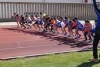 Jóvenes atletas, tomando la línea de salida en una de estas jornadas/ Delegación Soriana de Atletismo.