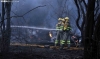 Foto 1 - CSIF exige un Operativo de Incendios Forestales permanente, público, digno y suficiente en Castilla y León