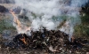 Foto 1 - Publicadas las condiciones para las quemas de residuos vegetales agrarios