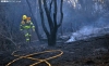 Foto 1 - Declarado peligro medio de incendios forestales en Castilla y León entre este viernes y el 10 de abril 
