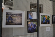 Foto 39 - Las voces femeninas rurales de la provincia se dan cita en Quintana Redonda