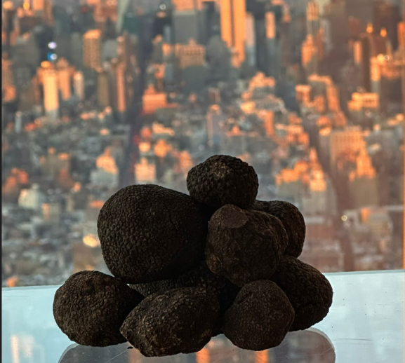 La truffe noire de Soria conquiert New York