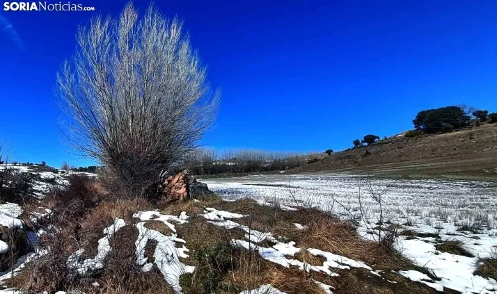 Nieve que abriga y se queda