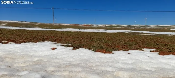Nieve que abriga y se queda