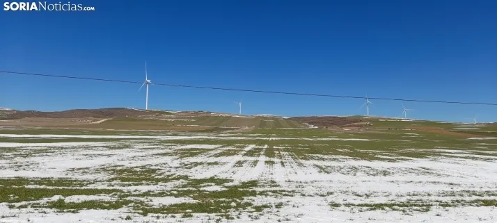 Nieve que abriga y se queda