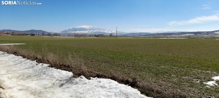 Nieve que abriga y se queda