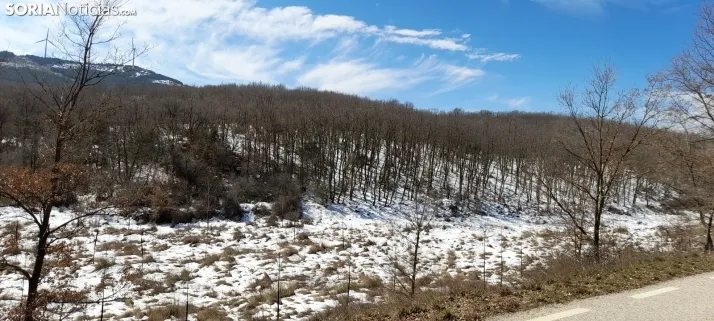 Nieve que abriga y se queda