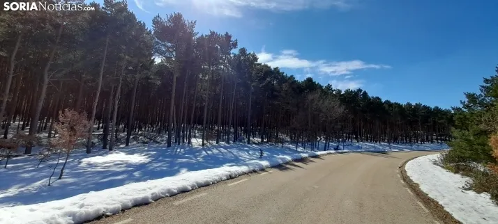 Nieve que abriga y se queda