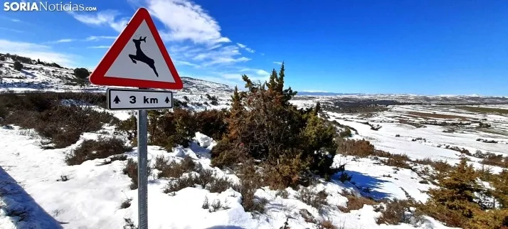 Nieve que abriga y se queda