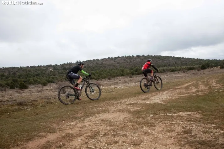 II BTT Trufa de Abejar