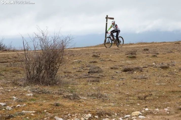 II BTT Trufa de Abejar
